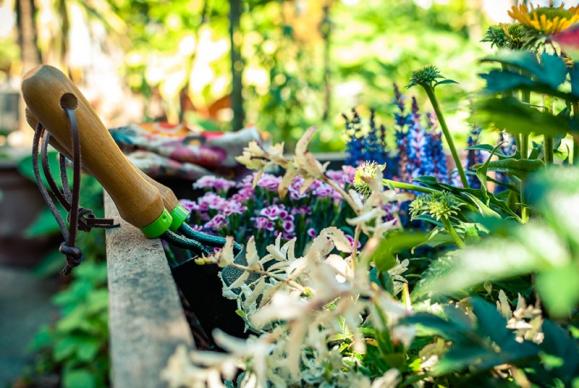 aménagement jardin